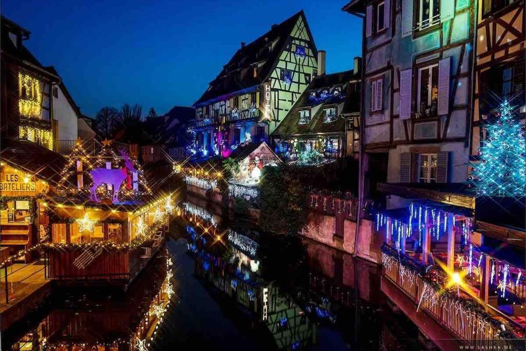 Coeur Alsace Apartman Colmar Kültér fotó