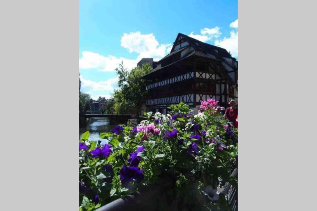 Coeur Alsace Apartman Colmar Kültér fotó