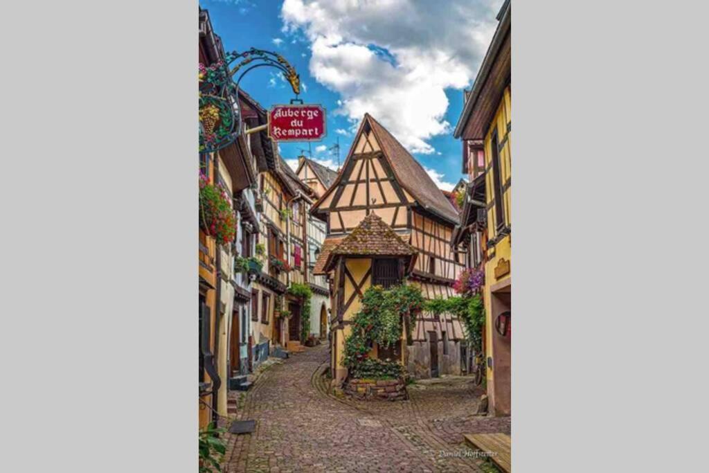 Coeur Alsace Apartman Colmar Kültér fotó